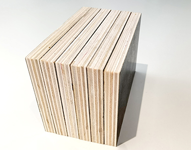 建筑模板侧面结构2